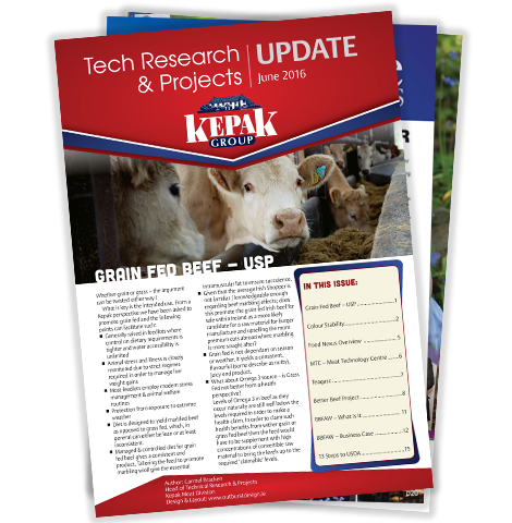 newsletters by outburst design & print