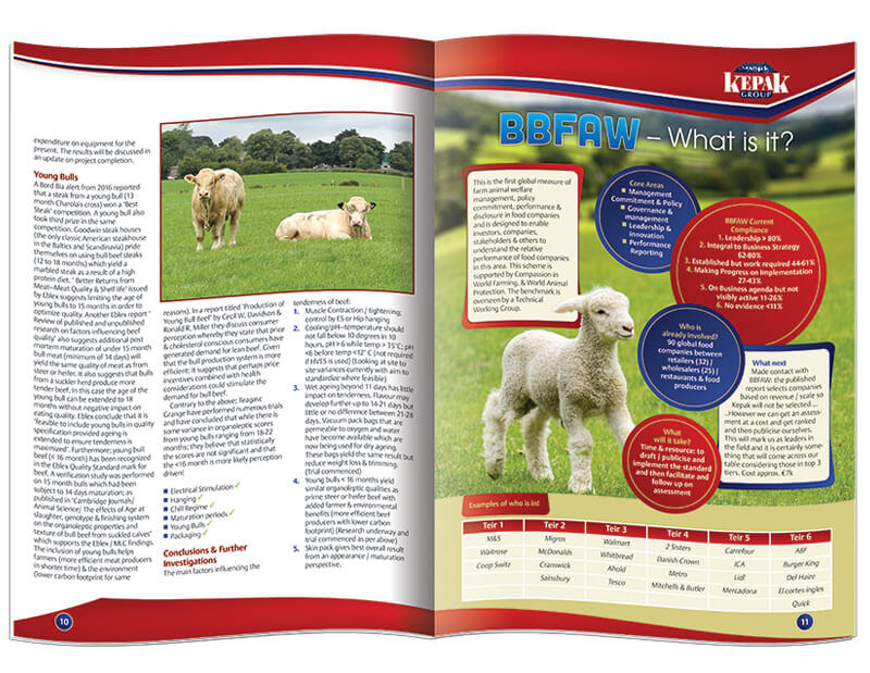 Inside pages of the accessible newsletter for Kepak Group designed & printed by Outburst design